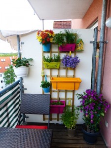 balcone piccolo, piante in verticale