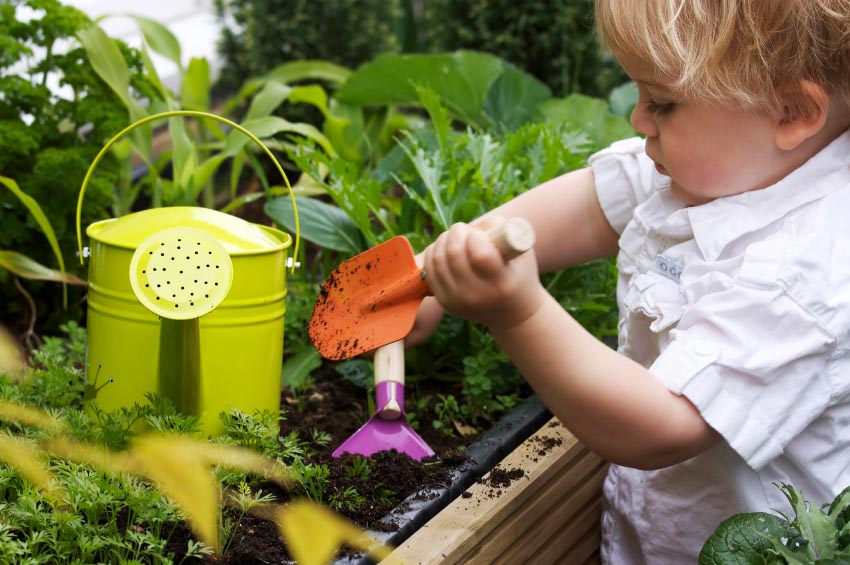 a 2 year old toddler gardening with watering can